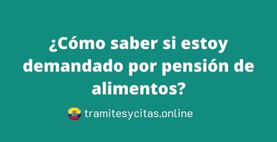¿Cómo saber si estoy demandado por pensión de alimentos
